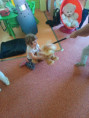 /album/navsteva-me-policie/img-20250521-101029-jpg/